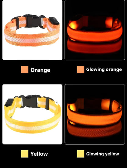 LED Dog Collar – Luminous Nylon Night Safety Collar for Pets