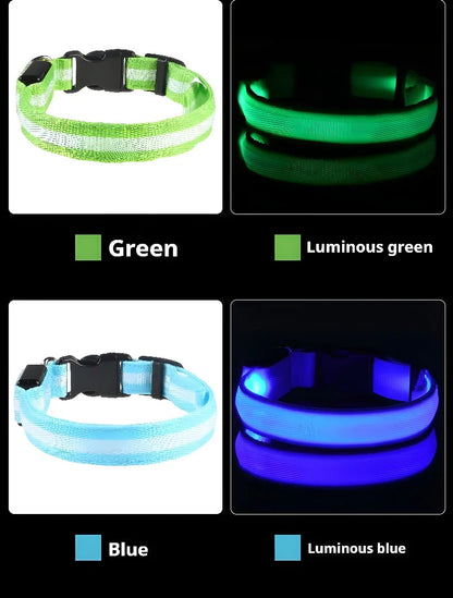 LED Dog Collar – Luminous Nylon Night Safety Collar for Pets