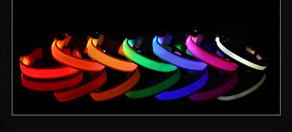 LED Dog Collar – Luminous Nylon Night Safety Collar for Pets