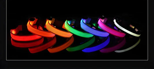 LED Dog Collar – Luminous Nylon Night Safety Collar for Pets