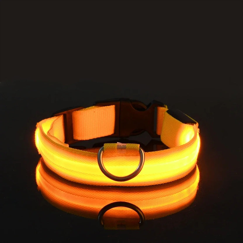 LED Dog Collar – Luminous Nylon Night Safety Collar for Pets
