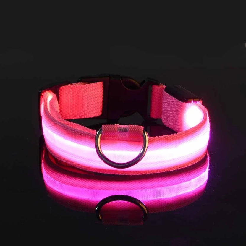 LED Dog Collar – Luminous Nylon Night Safety Collar for Pets