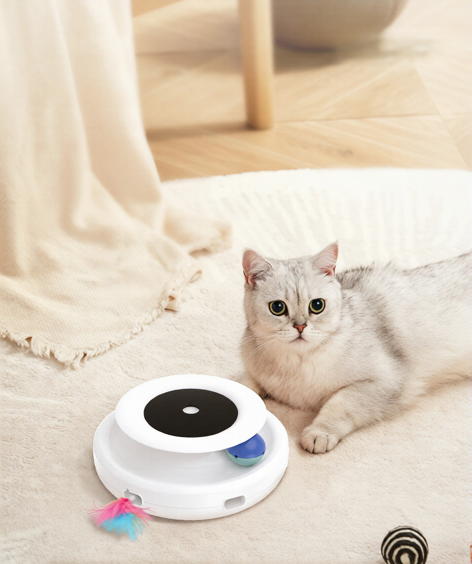 2 In 1 Smart Feather Ball Toy For Cats Dogs Set